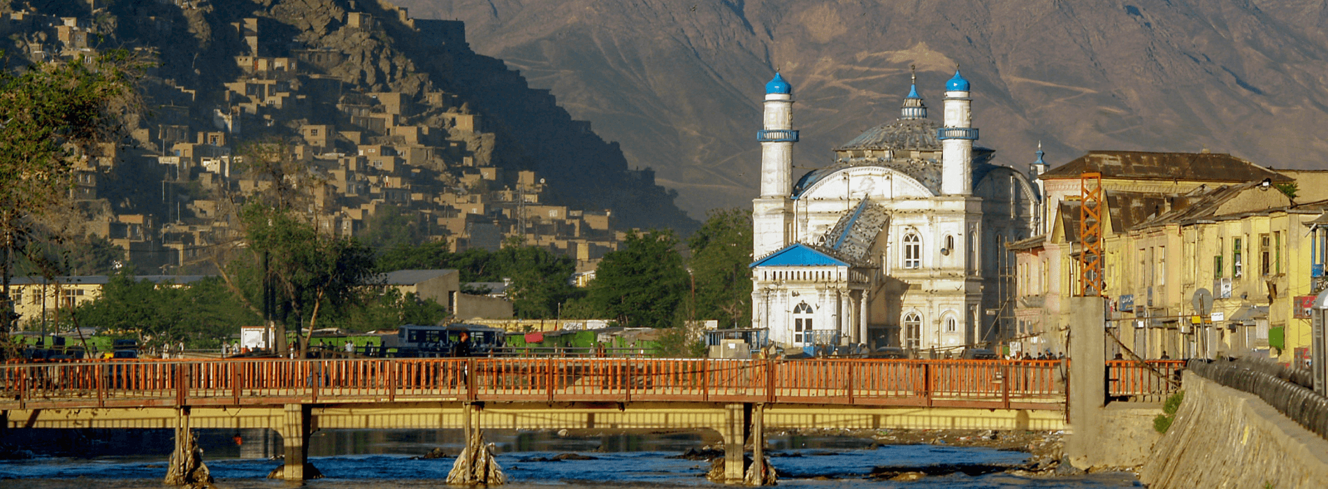 shutterstock_1388946866